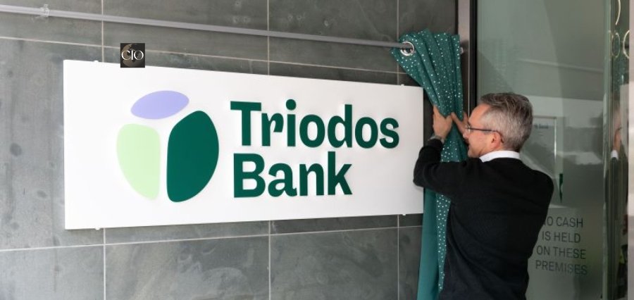 You are currently viewing Triodos Bank Names Industry Veteran Lauren Couch To Head Business Banking